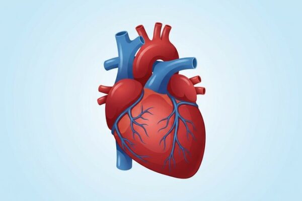 Пушенето и сърцето — какво трябва да знаете